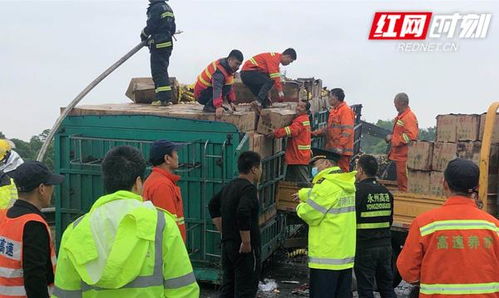 20余吨生鸡蛋差点全成烤鸡蛋 路政小哥忍住 诱惑 忙搬运
